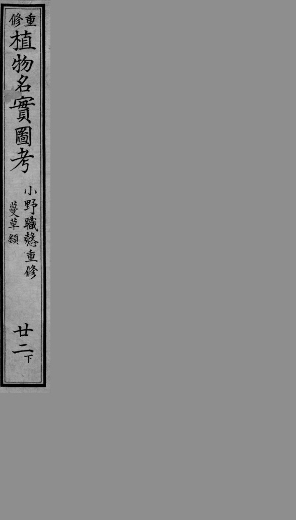 植物名实图考  22  下